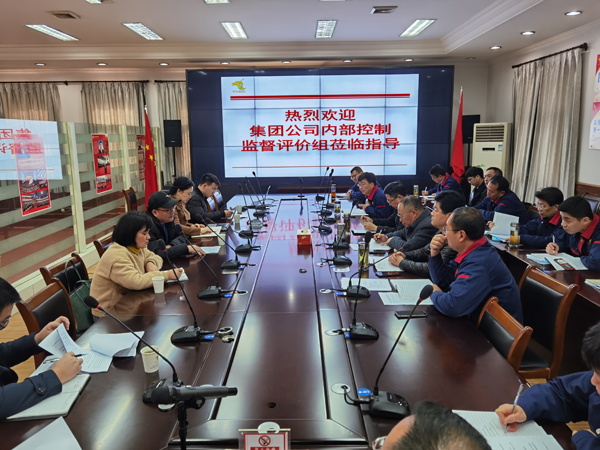 集團公司到公司開展內控自評檢查工作